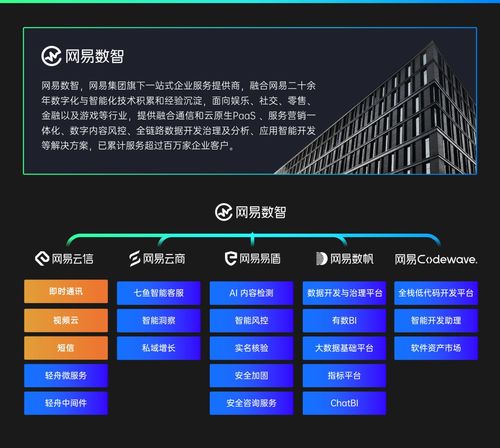 網易云信周梁偉 大模型在融合通信產品中的創新應用與安全實踐