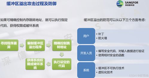網絡安全概述 構建堅固防線，賦能信息安全軟件開發